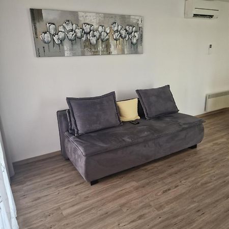Family Apartment Moravske Toplice Exterior photo
